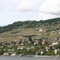 Vignes grelees Lavaux - 097